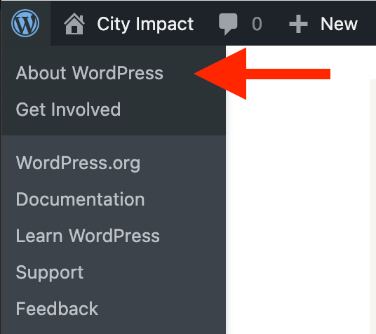 How To See WordPress Version & Server Information